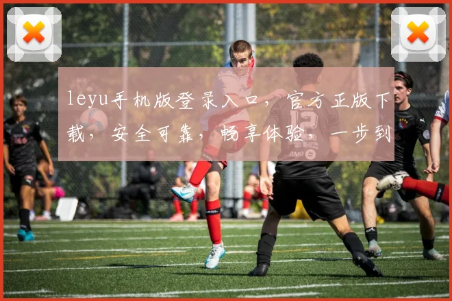 leyu手机版登录入口，官方正版下载，安全可靠，畅享体验，一步到位