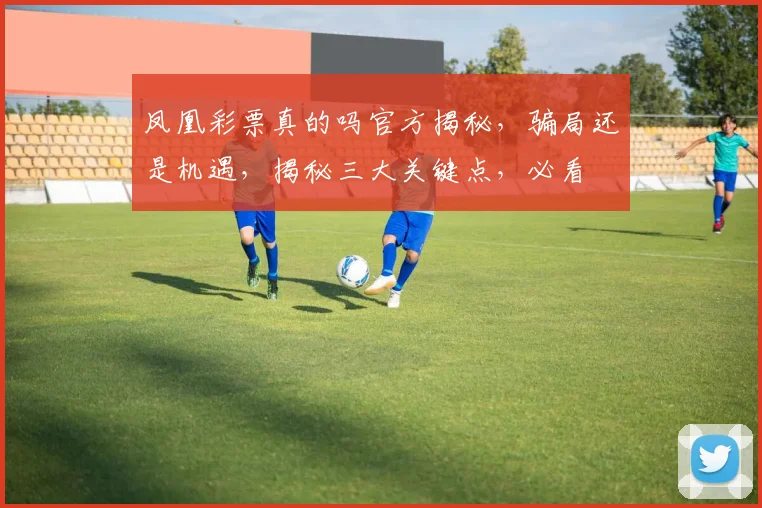 凤凰彩票真的吗官方揭秘，骗局还是机遇，揭秘三大关键点，必看