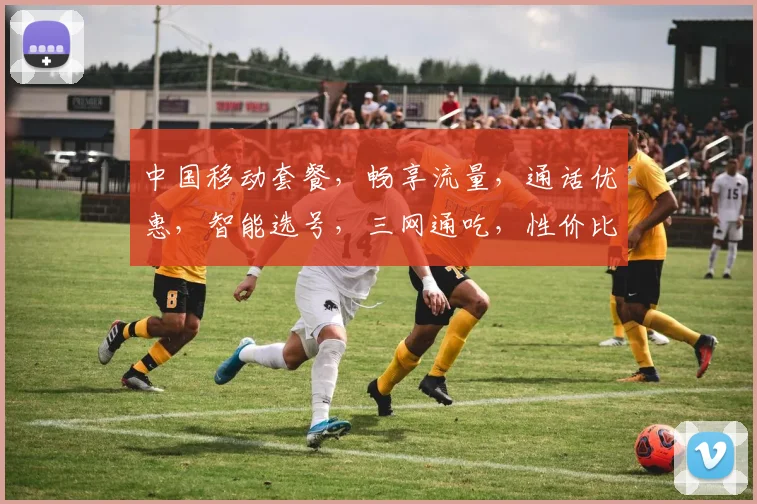 中国移动套餐，畅享流量，通话优惠，智能选号，三网通吃，性价比高，轻松选择